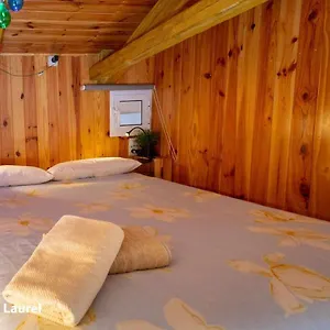  Апартаменты La Casa Del Druida